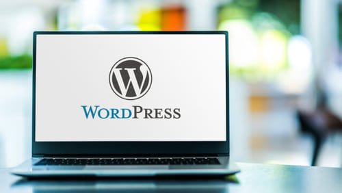 WordPress svetainės kūrimo privalumai verslui